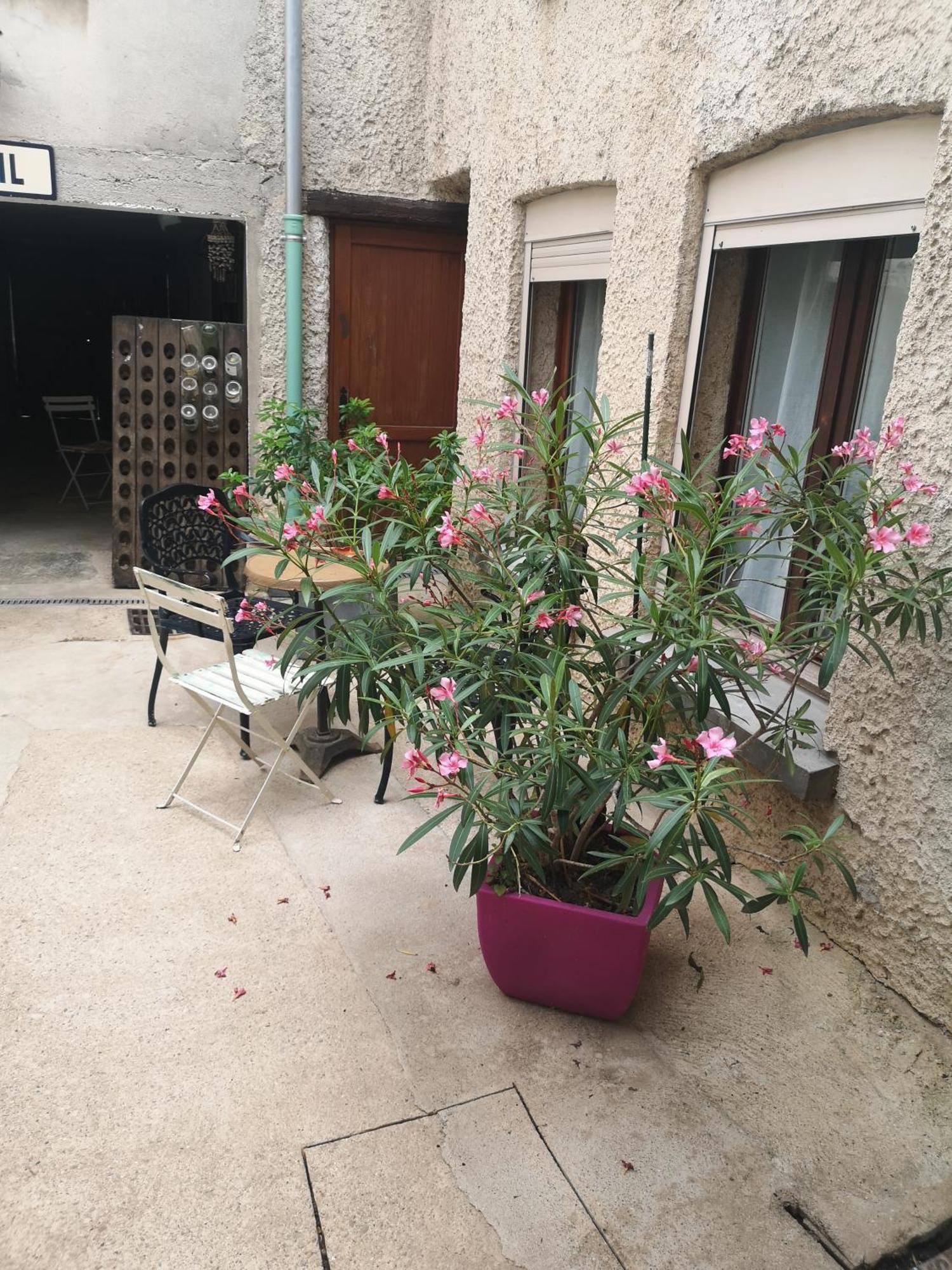 Cottage Au Terminus 2 Climatise Hautvillers Bagian luar foto